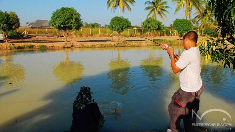 Amazon Fishing Park