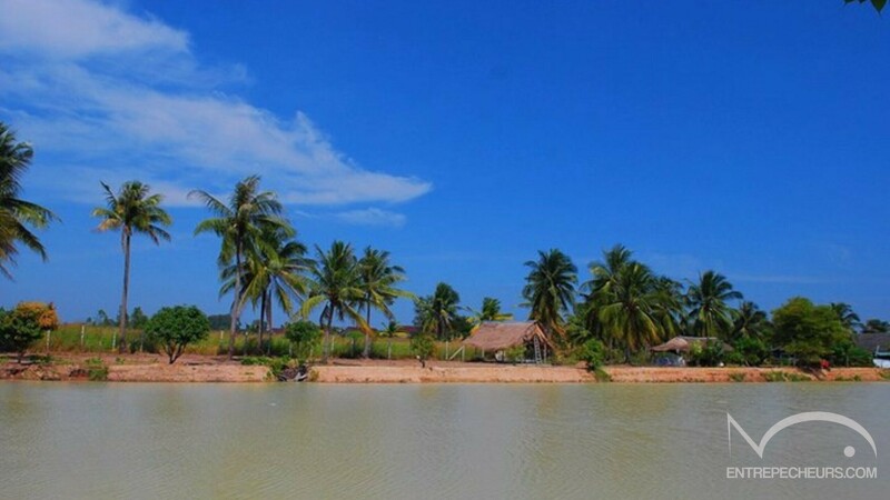 Amazon Fishing Park