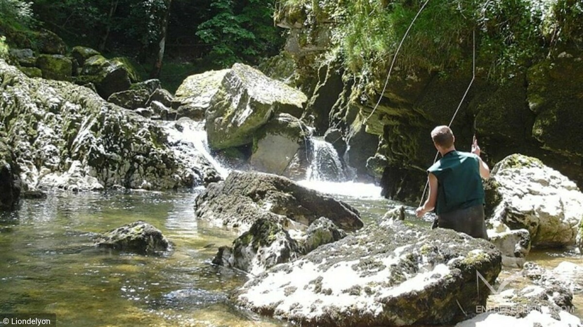 Pêche à la mouche