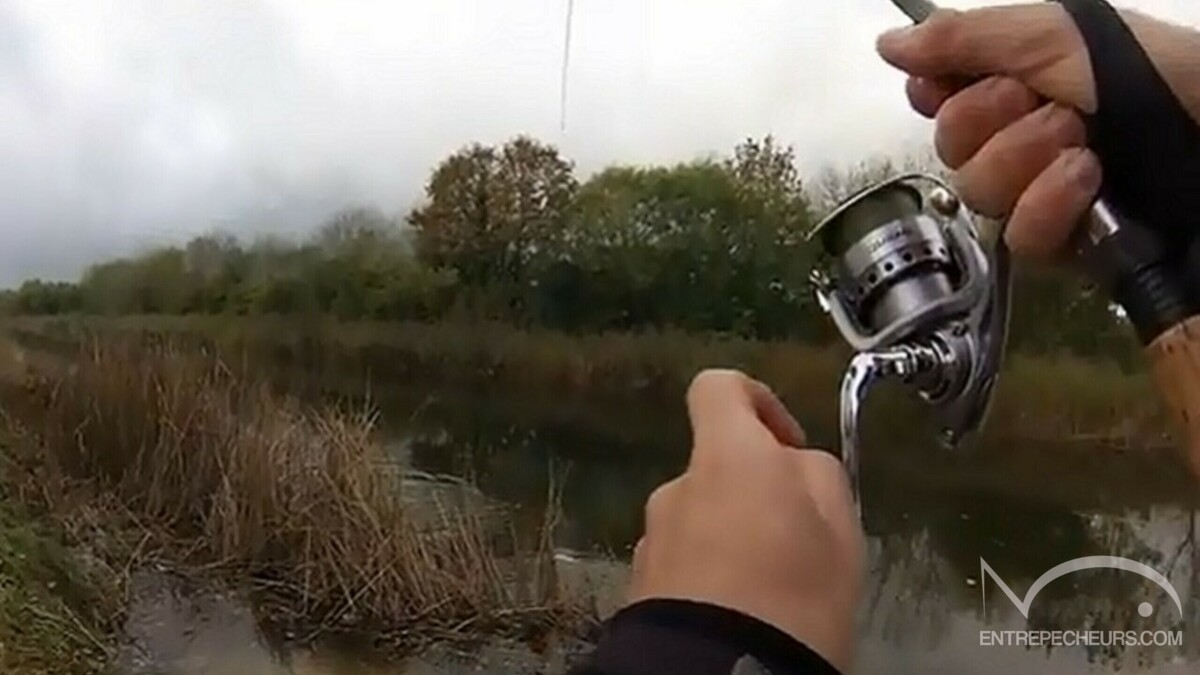 Pêche au brochet fructueuse