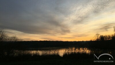 IMG_5880