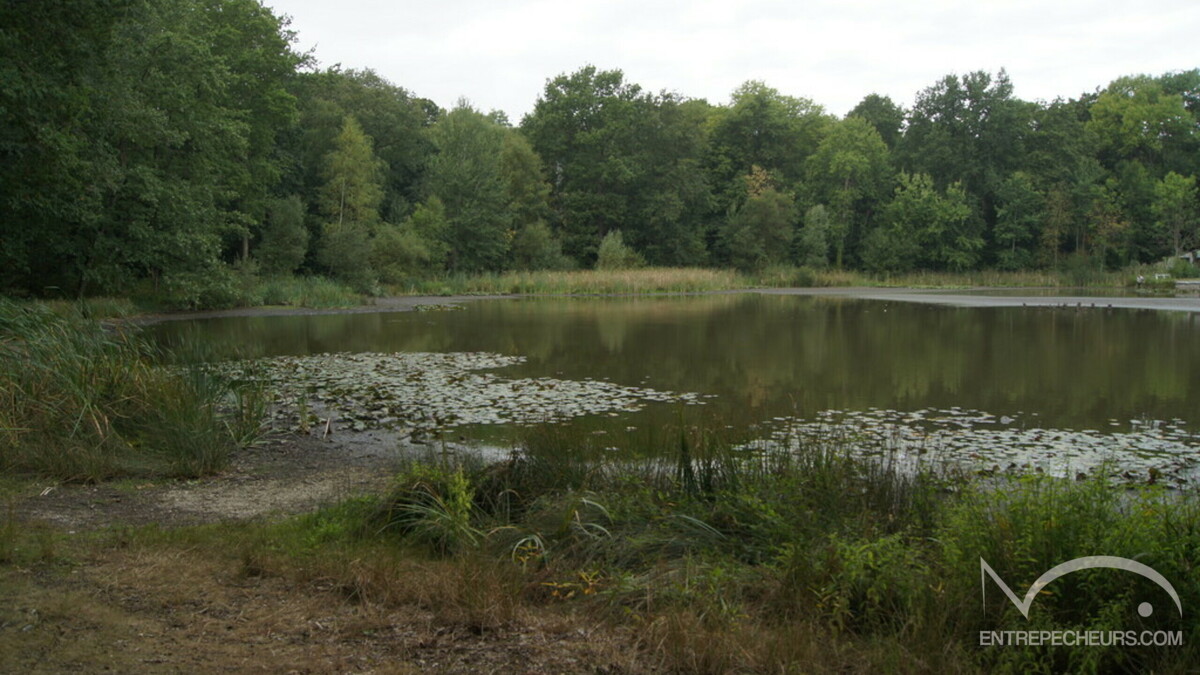 DSC02078