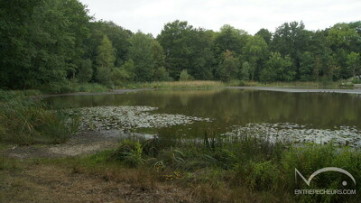 DSC02078
